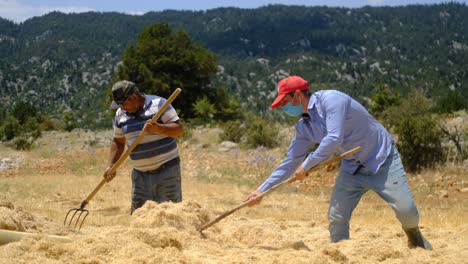 Hay-sprayer-young-man