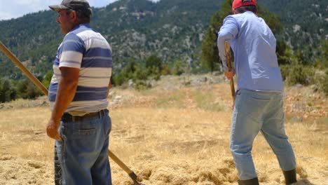 Farmer-working-field