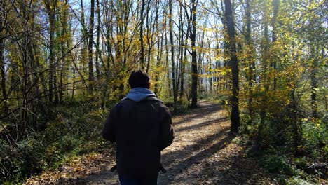 Laufen-Im-Herbstwald