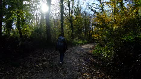 Hiking-in-autumn-forest