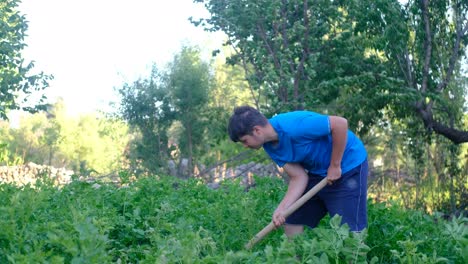 Farmer-digging-the-green-garden