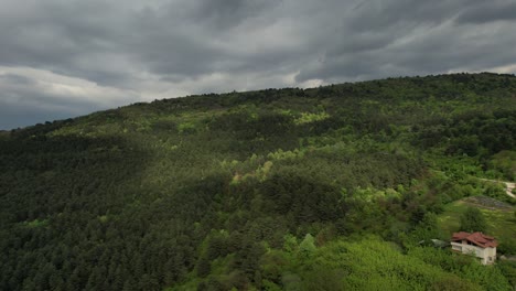 Aerial-Lush-Mountain-Landscape