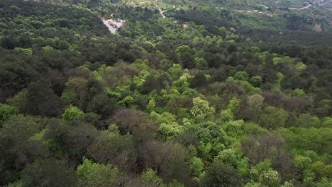 Drohne-üppige-Wälder-Von-Bursa