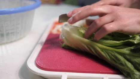 Chop-Lettuce-Salad