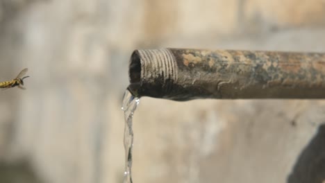 Brunnen-Trinkwasser