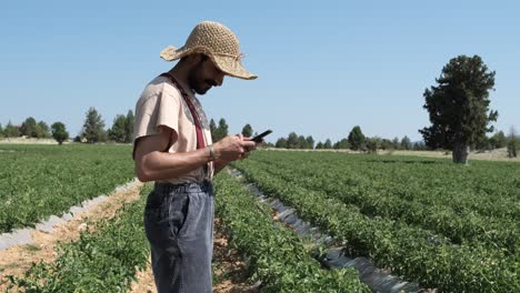 Man-looking-phone-in-farm