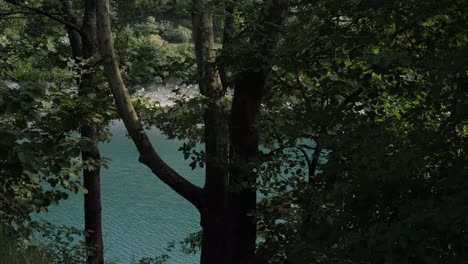 Lago-Del-Bosque-Natural