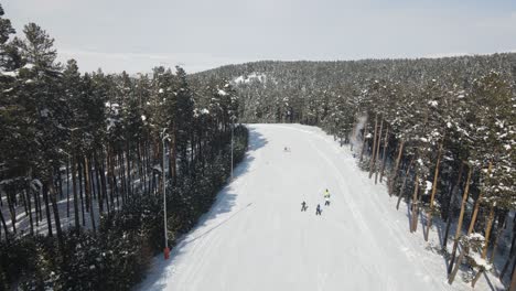Skiing-Place-In-Forest