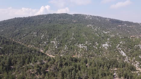 Mountain-Forest-Aerial-View
