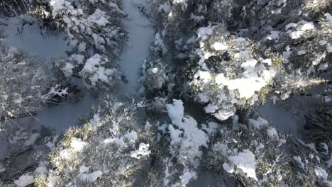 Overhead-Frozen-Tree
