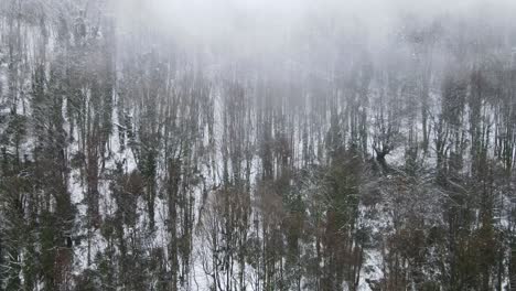 Luftaufnahme-Des-Verschneiten-Waldes