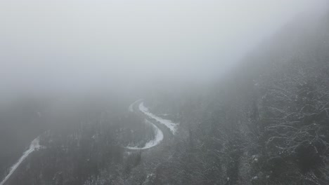 Camino-Forestal-Neblinoso