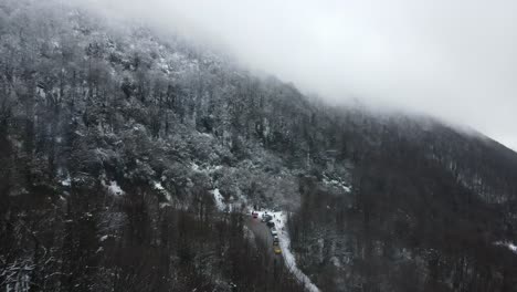 Verschneiter-Waldhang