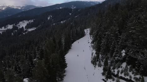 Ski-run-In-Snowy-Forest