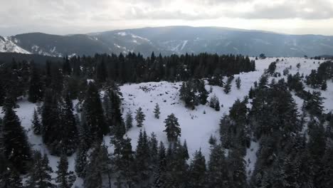 Drohnenansicht-Der-Schneebedeckten-Berge
