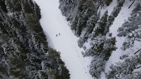 Ski-Platform-Aerial-View