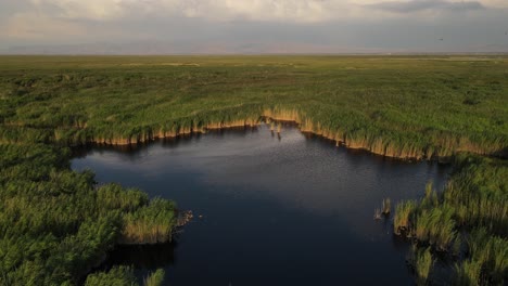 Lake-in-the-Reeds-Aerial-View