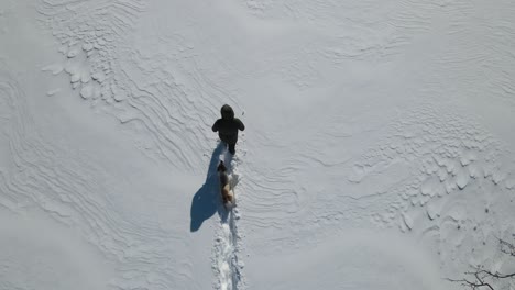 Winterfreundschaft-Mit-Hund