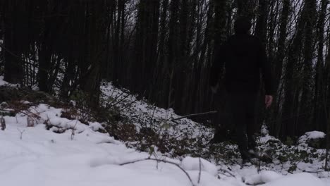 Strolling-in-snowy-forest