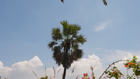 Blick-Auf-Palmen-Vor-Blauem-Himmel-In-Der-Nähe-Von-Bandra-Fort-Mumbai,-Indien
