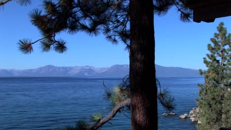 Lake-Tahoe-Immergrüne-Bäume-Stehen-Am-Rande-Eines-Blauen-Sees-In-Der-Nähe-Der-Sierra-Nevada