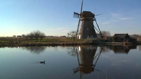 Windmühlen-Säumen-Einen-Kanal-In-Holland,-Während-Enten-Um-1-.-Schwimmen