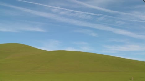 Schöne-Grüne-Felder-Und-Ein-Blauer-Horizont
