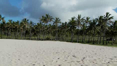 Pan-across-a-nearly-perfect-white-sand-beach-with-tropical-palms-in-the-distance-1