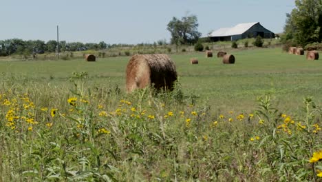 Pan-across-to-bales-of-hay-in-the-fields-of-rural-farm