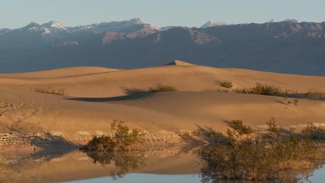 A-pan-across-desert-dunes-at-an-oasis