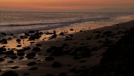 Birds-graze-along-the-shore-at-dusk-2