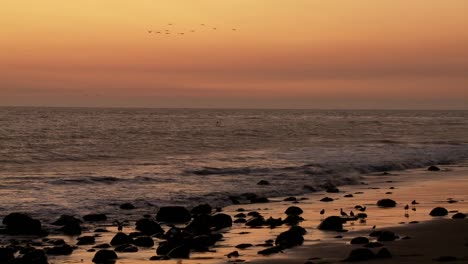 Vögel-Fliegen-In-Formation-In-Der-Ferne-Vor-Einem-Goldenen-Kalifornischen-Sonnenuntergang