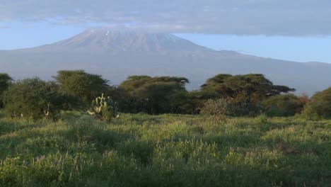 Una-Hermosa-Fotografía-Matutina-Del-Monte-Kilimanjaro-En-Tanzania,-África-Oriental