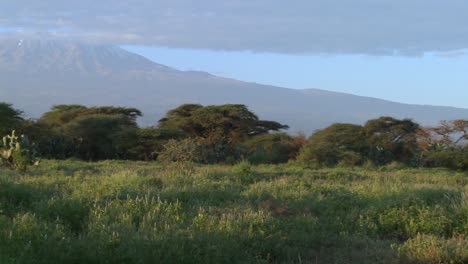 Una-Hermosa-Toma-Panorámica-De-La-Mañana-Del-Monte-Kilimanjaro-En-Tanzania,-África-Oriental