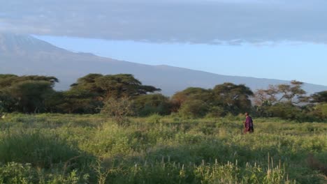 Un-Guerrero-Masai-Camina-Delante-Del-Monte-Kilimanjaro-En-Tanzania,-África-Oriental-Al-Amanecer