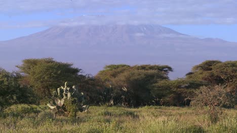 Beautiful-time-lapse-shot-of-Mt-Kilimanjaro-in-Tanzania-East-Africa-at-dawn