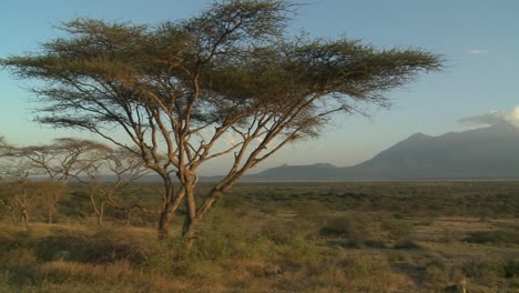 Mt-Meru-In-Der-Ferne-über-Die-Savanne-Von-Tansania