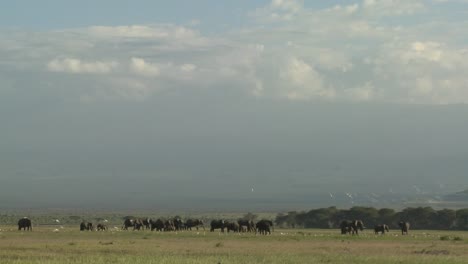 Wolken-Bewegen-Sich-Im-Zeitraffer-über-Eine-Elefantenherde-In-Der-Afrikanischen-Savanne