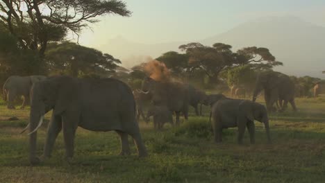 Große-Herden-Afrikanischer-Elefanten-Wandern-In-Der-Nähe-Des-Kilimanjaro-Im-Amboceli-Nationalpark-Tansania-2ania