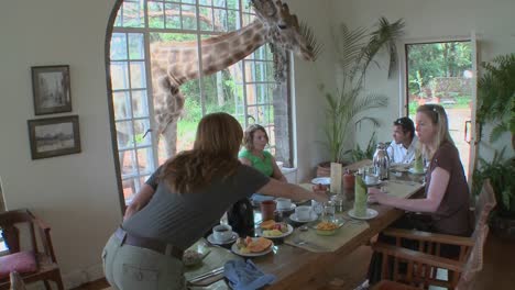 Eine-Giraffe-Unterbricht-Ein-Frühstück-In-Einem-Haus-In-Afrika