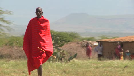 Rot-Gekleidete-Massai,-Die-In-Feldern-Spazieren-Und-Rinder-Führen