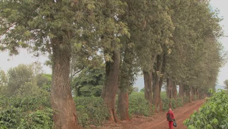 Ein-Arbeiter-Einer-Kaffeeplantage-Geht-In-Afrika-Eine-Unbefestigte-Straße-Entlang