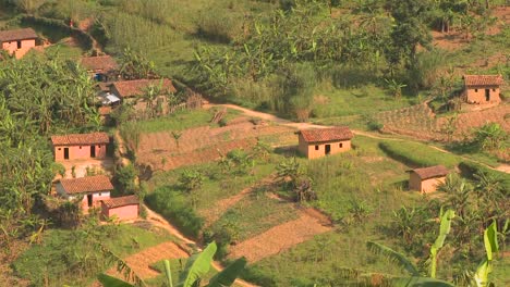 Toma-De-Establecimiento-A-Través-De-La-Exuberante-Campiña-Tropical-De-Ruanda-2