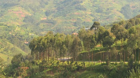 Minibus-Und-Minivan-Fahren-Eine-Steile-Bergstraße-In-Ruanda