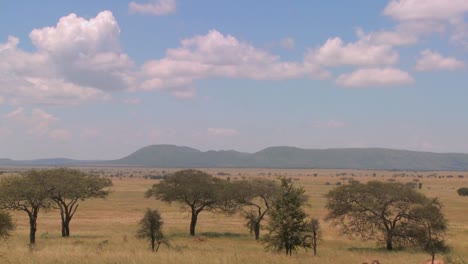 Zeitrafferaufnahme-Von-Wolken,-Die-Sich-über-Die-Serengeti-Ebene-Bewegen