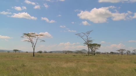 Wolken-Hängen-über-Der-Serenegti-Ebene-In-Afrika