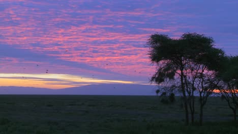Birds-migrate-across-a-multicolored-sky-on-the-plains-of-Africa