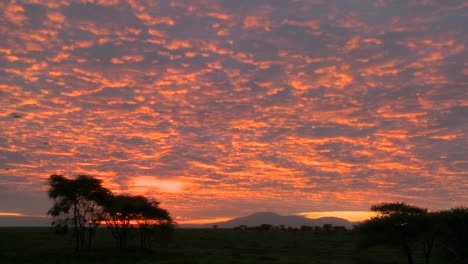 Ein-Wunderschöner-Rot-orangen-Sonnenuntergang-Auf-Den-Ebenen-Afrikas