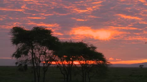 Ein-Orangefarbener-Sonnenuntergang-über-Den-Ebenen-Afrikas-Mit-Akazienbaum-Im-Vordergrund