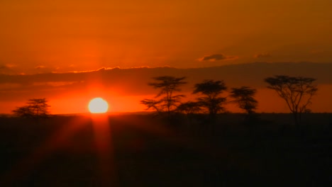 Ein-Wunderschöner-Sonnenaufgang-über-Den-Ebenen-Afrikas-Mit-Akazien-In-Der-Ferne